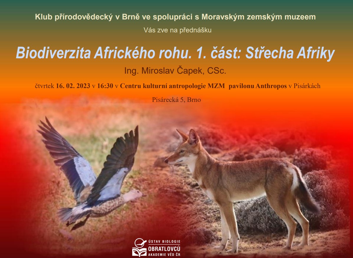 pozv-nka-na-p-edn-ku-biodiverzita-africk-ho-rohu-1-st-st-echa