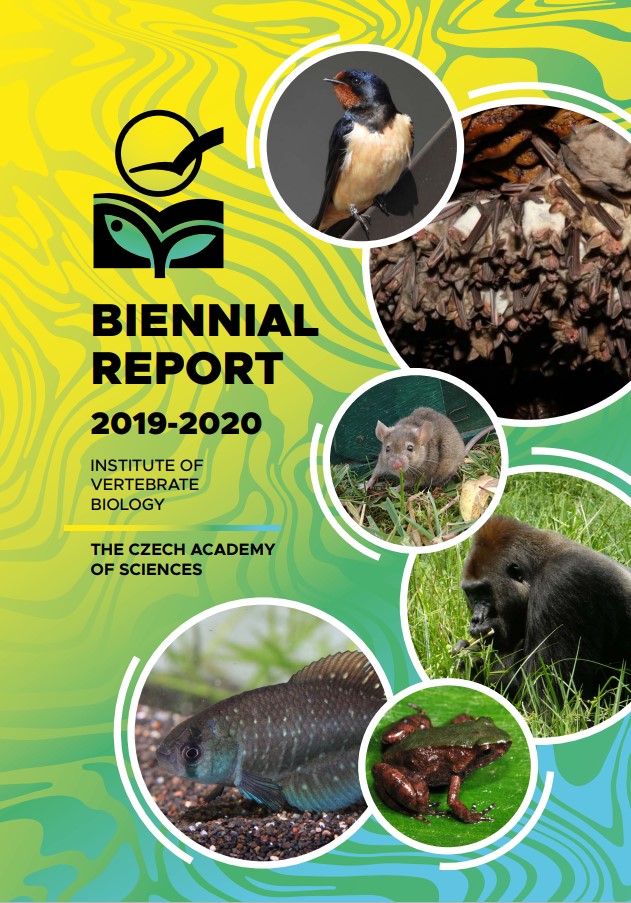 Biennial Report 2019 –  2020